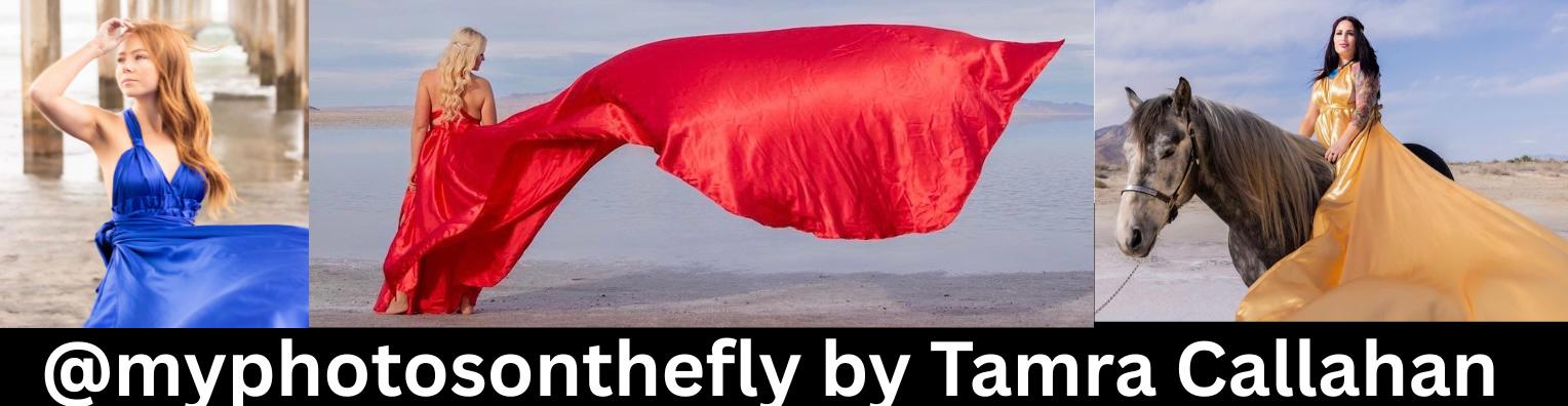 Tamara Allahan — Photographer
